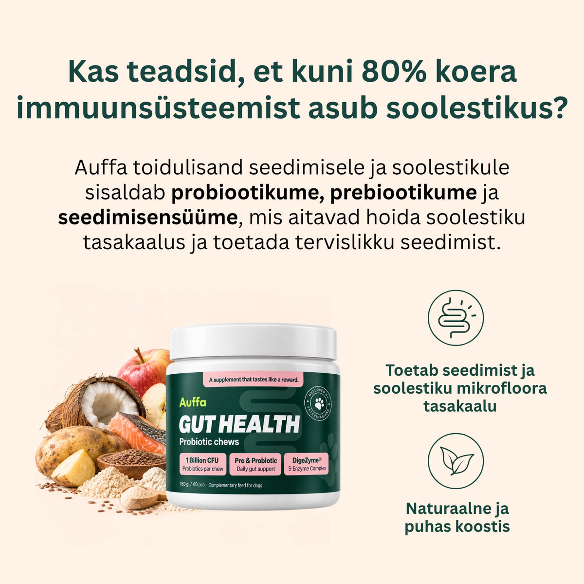 Toidulisand seedimisele ja soolestikule - Probiootikumid