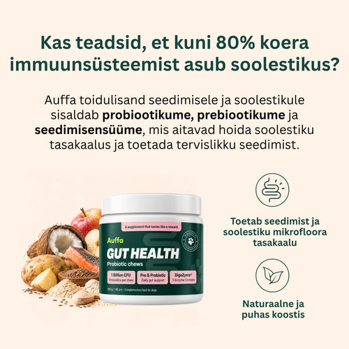 Toidulisand seedimisele ja soolestikule - Probiootikumid