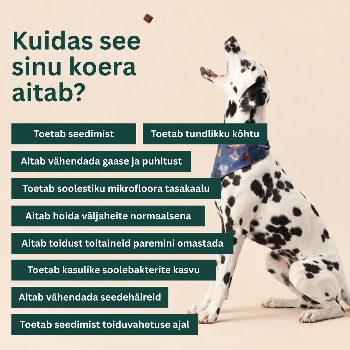 Toidulisand seedimisele ja soolestikule - Probiootikumid