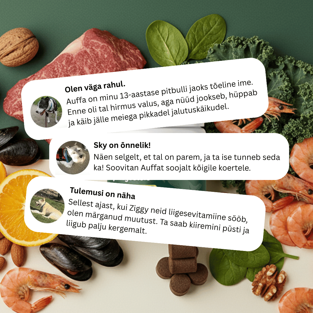 Toidulisand puusadele ja liigestele