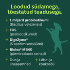 Toidulisand seedimisele ja soolestikule - Probiootikumid