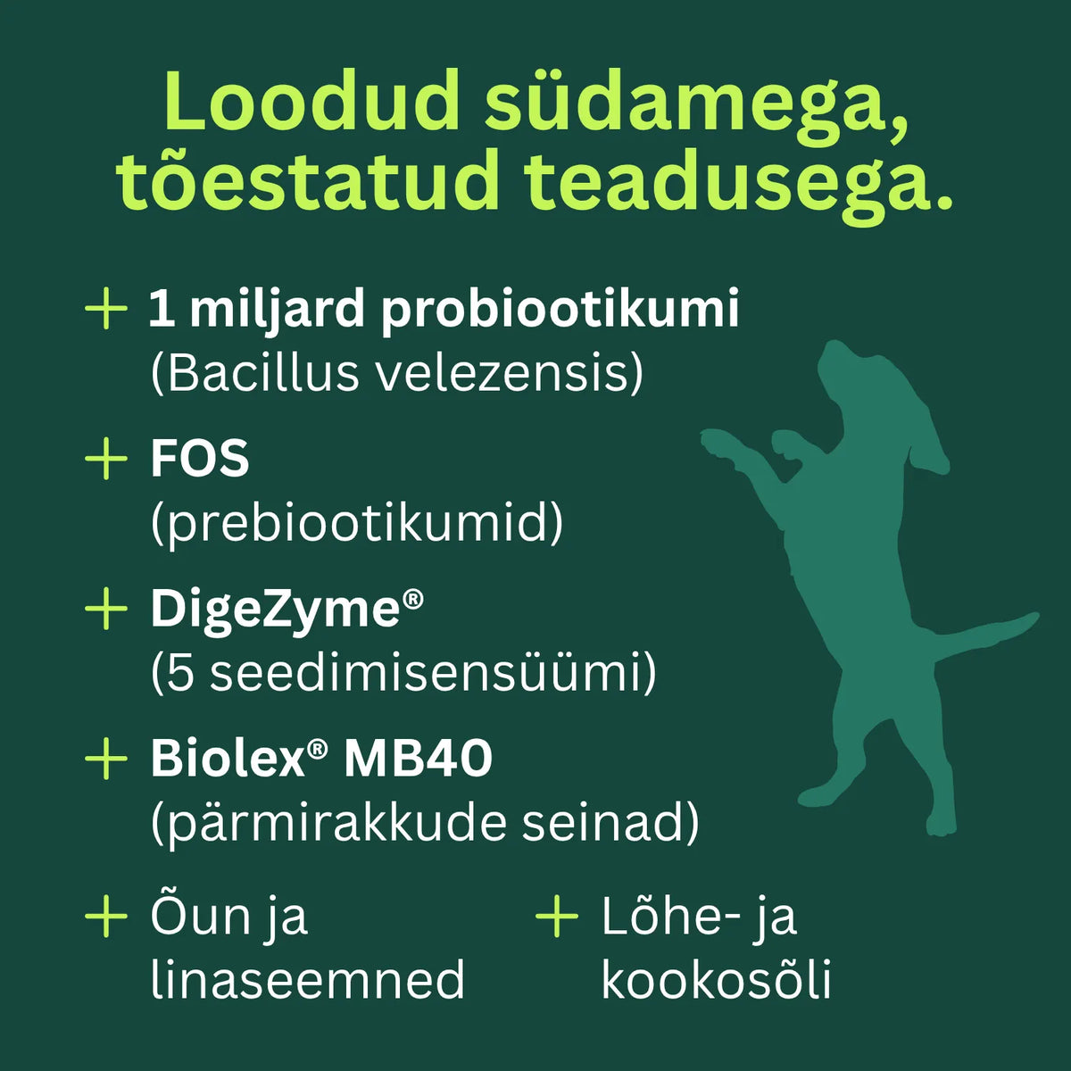 Toidulisand seedimisele ja soolestikule - Probiootikumid