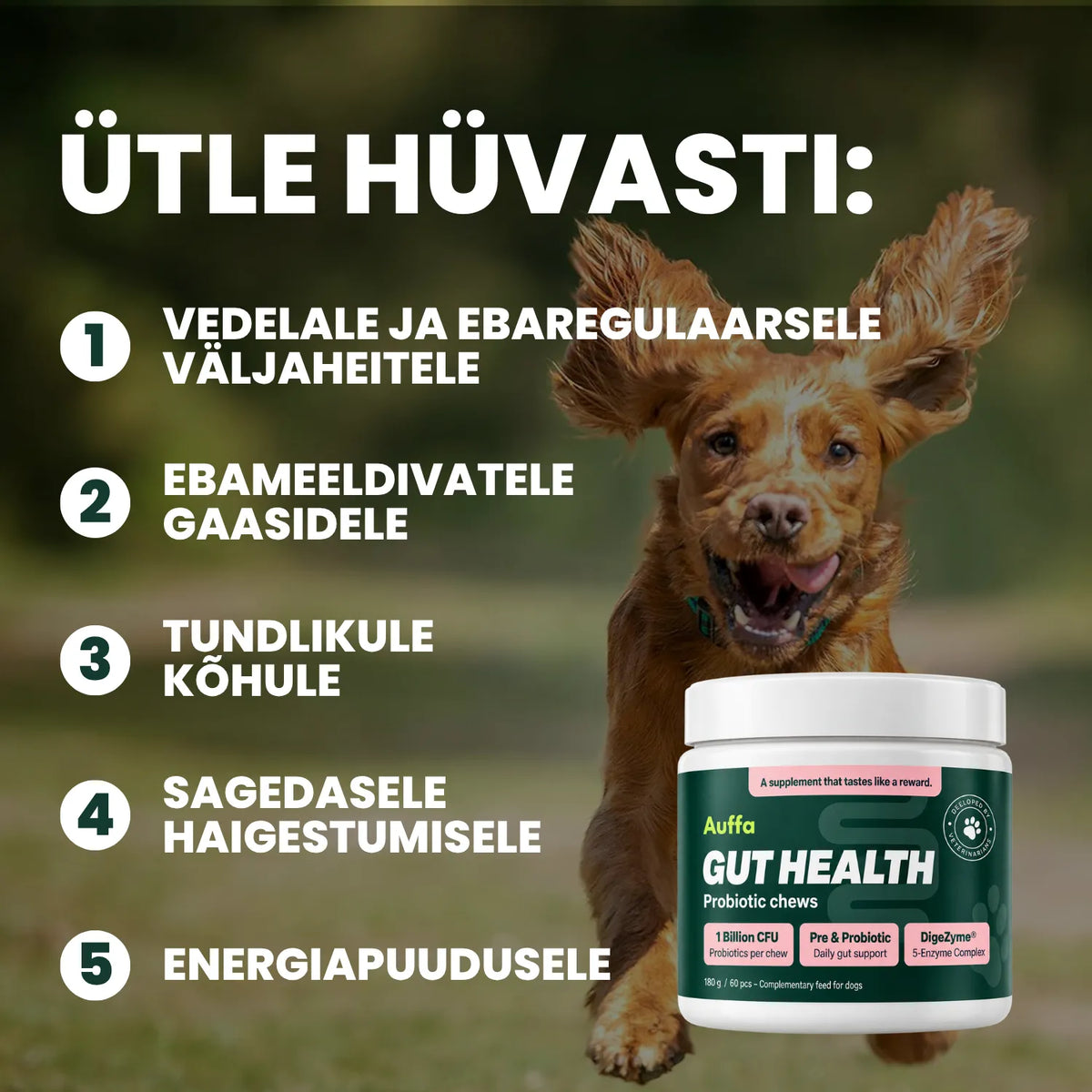 Toidulisand seedimisele ja soolestikule - Probiootikumid