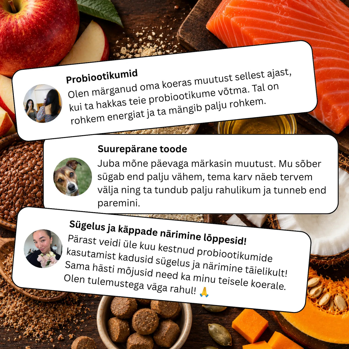 Toidulisand seedimisele ja soolestikule - Probiootikumid