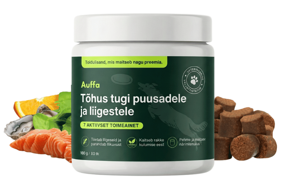 Sinu koera igapäevane liigestugi